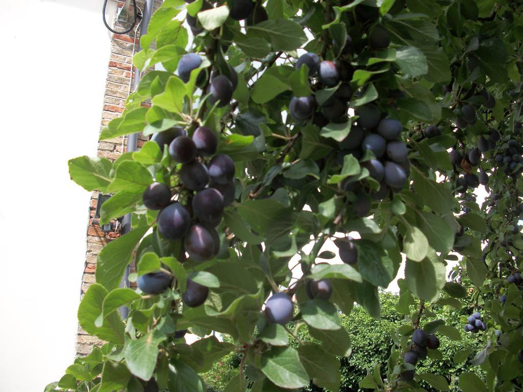 The Walnuts Country House West Row Dış mekan fotoğraf
